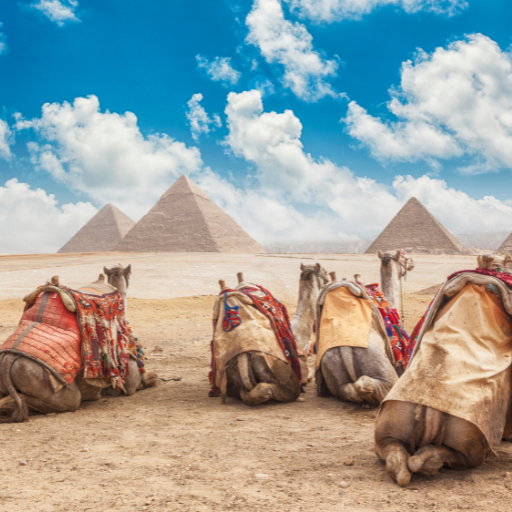 Cairo